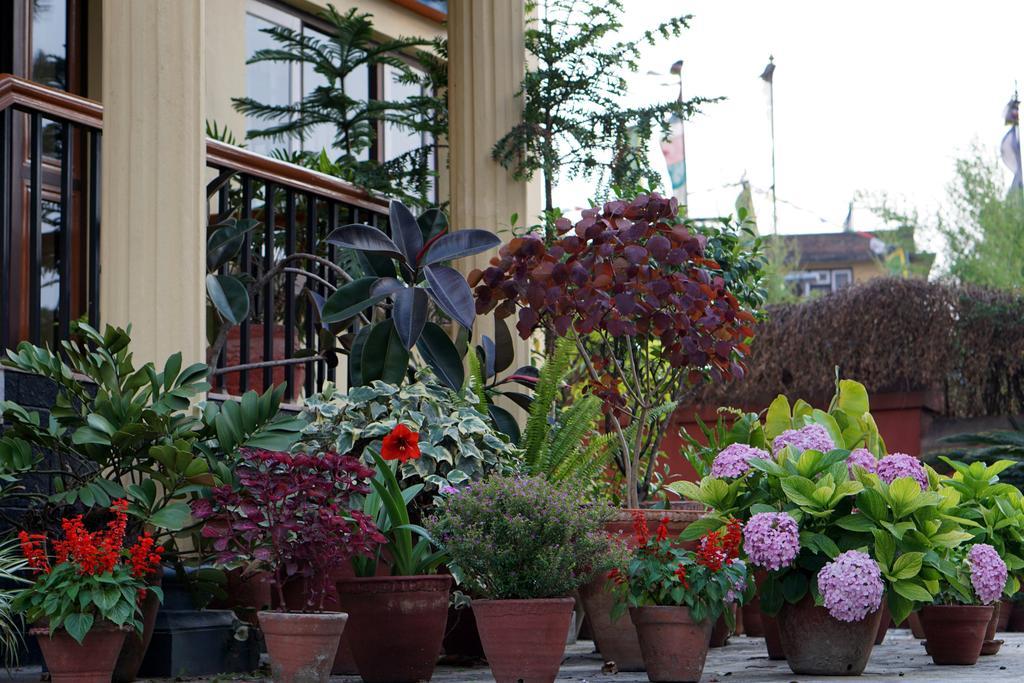 Swayambhu View Guest House Kathmandu Ngoại thất bức ảnh